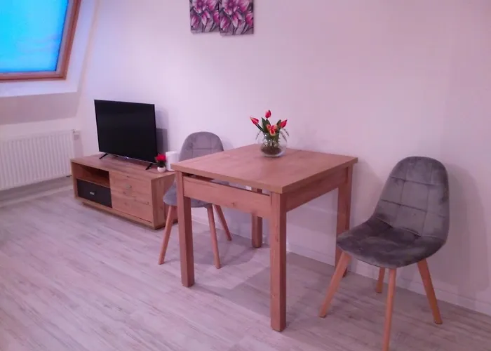 Tulip Jagiellonska *